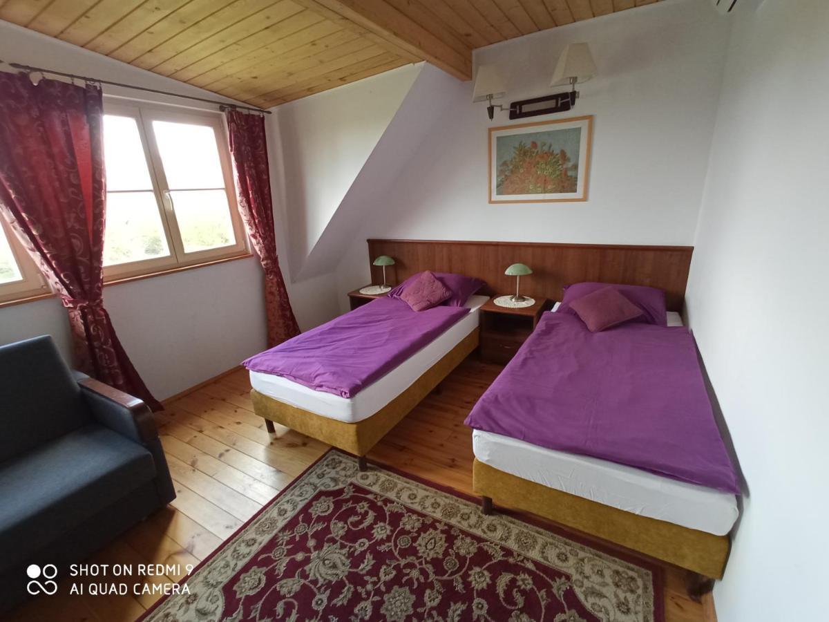 Bed and Breakfast Dwor Strzyzew Zelazowa Wola Exterior foto