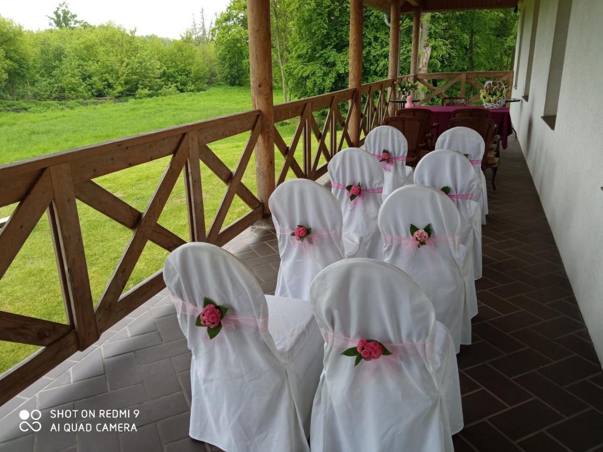 Bed and Breakfast Dwor Strzyzew Zelazowa Wola Exterior foto